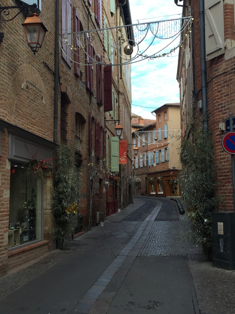 Foto de Albi (Midi-Pyrénées), Francia