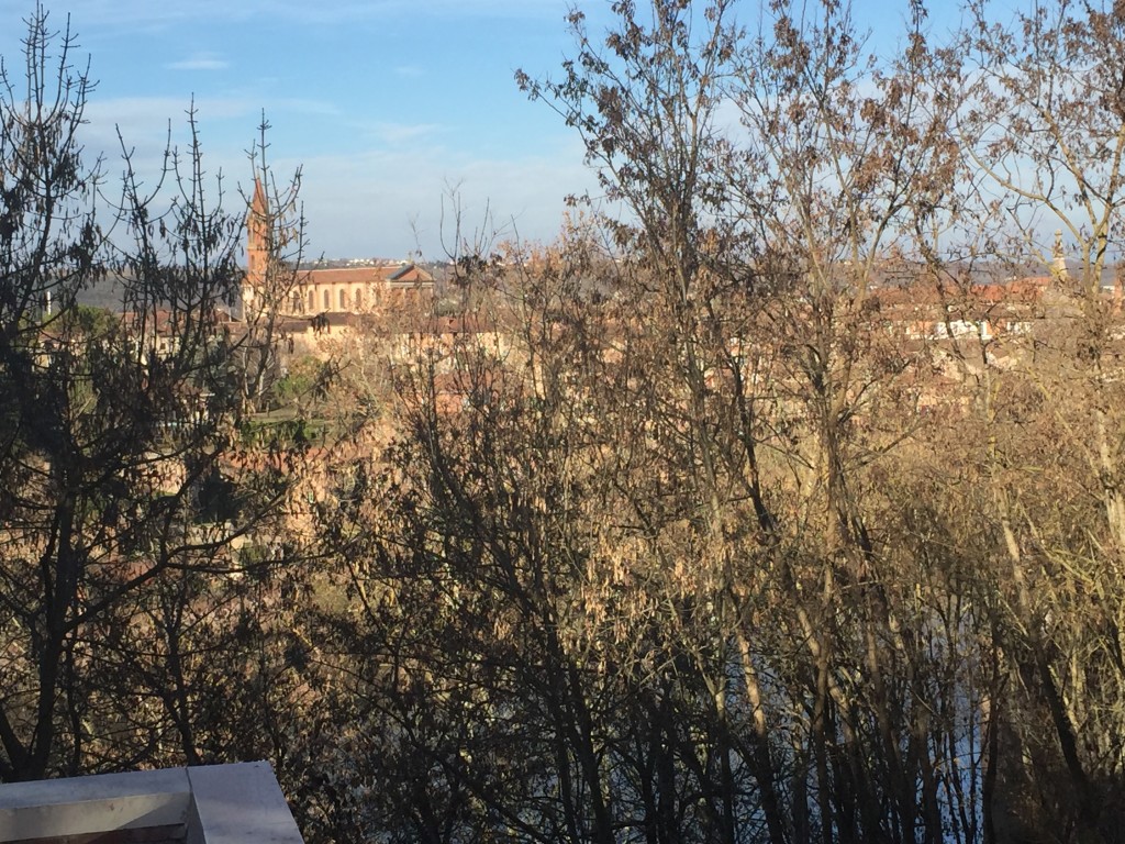 Foto de Albi (Midi-Pyrénées), Francia