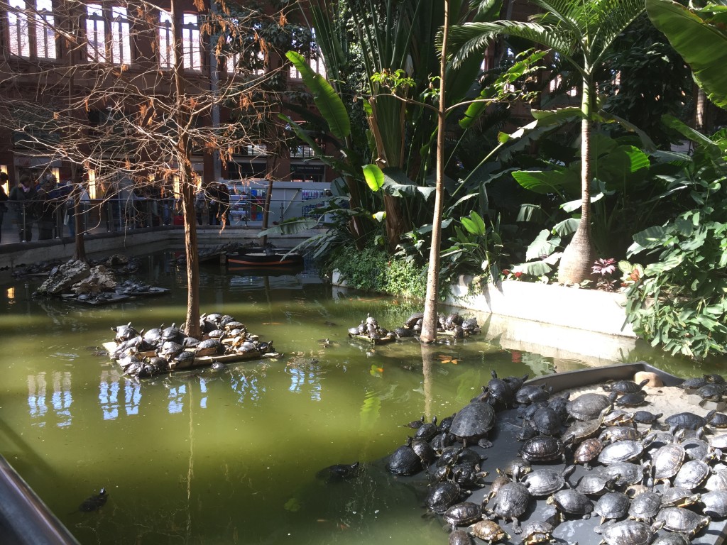 Foto de Madrid (Comunidad de Madrid), España