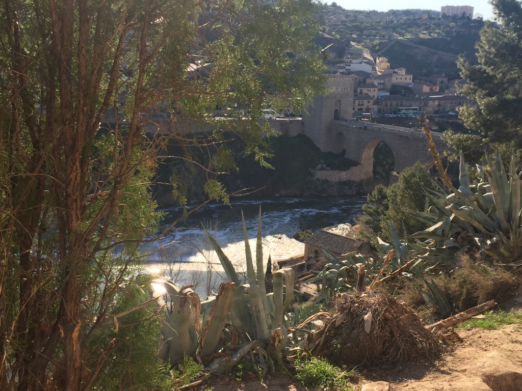 Foto de Toledo (Castilla La Mancha), España