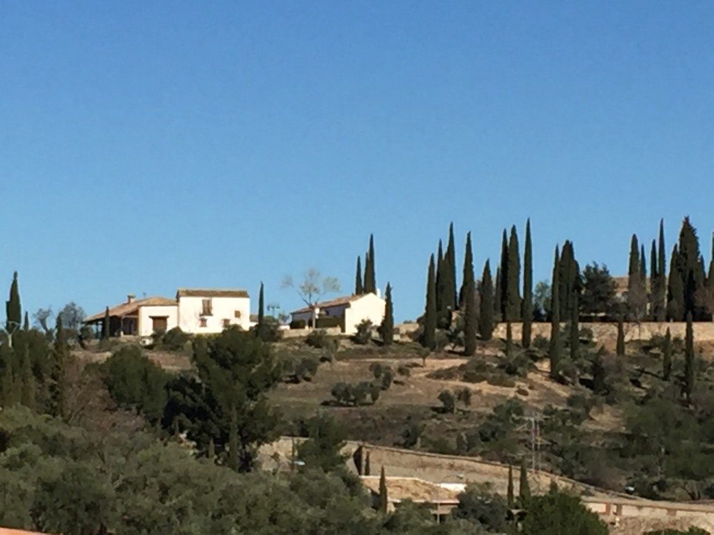 Foto de Toledo (Castilla La Mancha), España