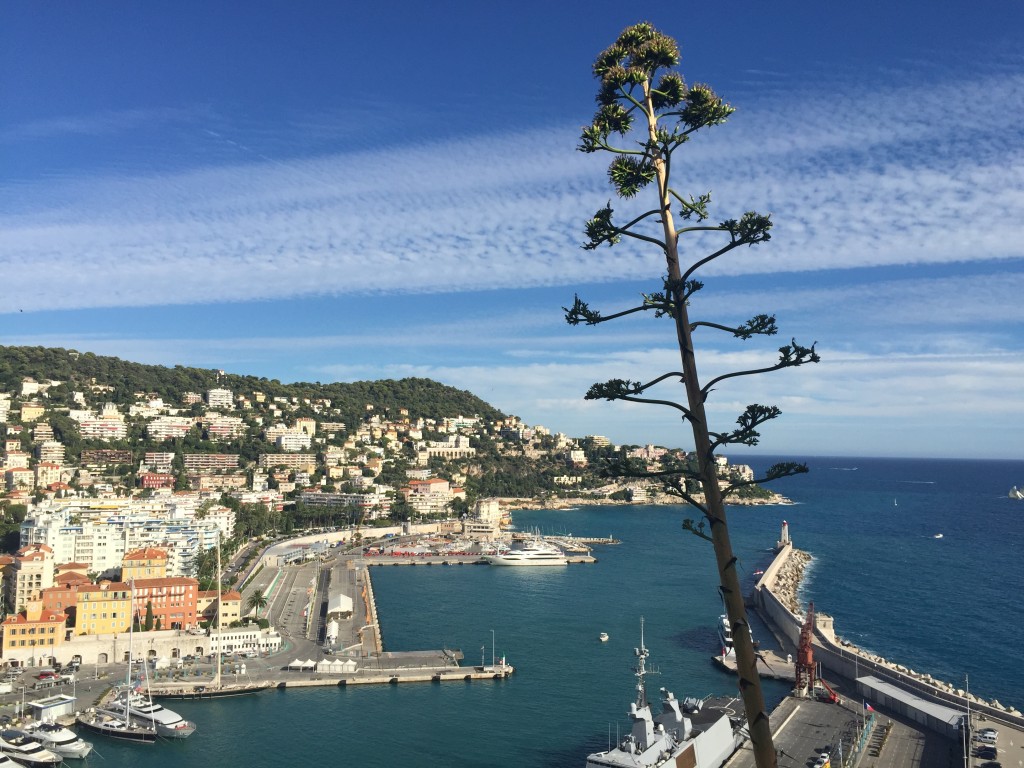 Foto de Niza, Francia