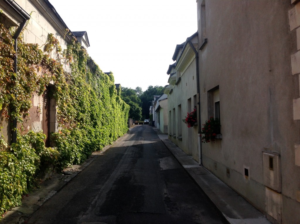 Foto de Loire, Francia