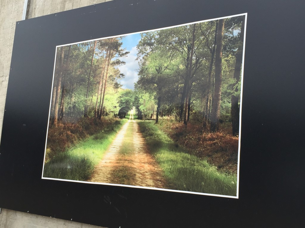 Foto de Loire, Francia