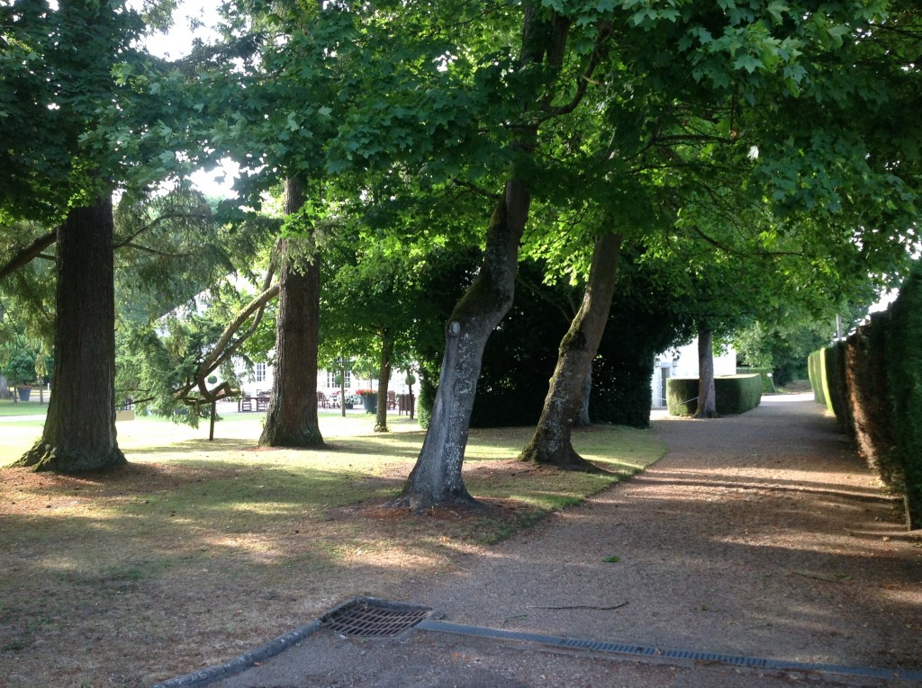 Foto de Loire, Francia