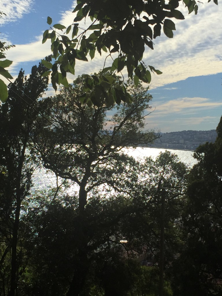 Foto de Niza, Francia