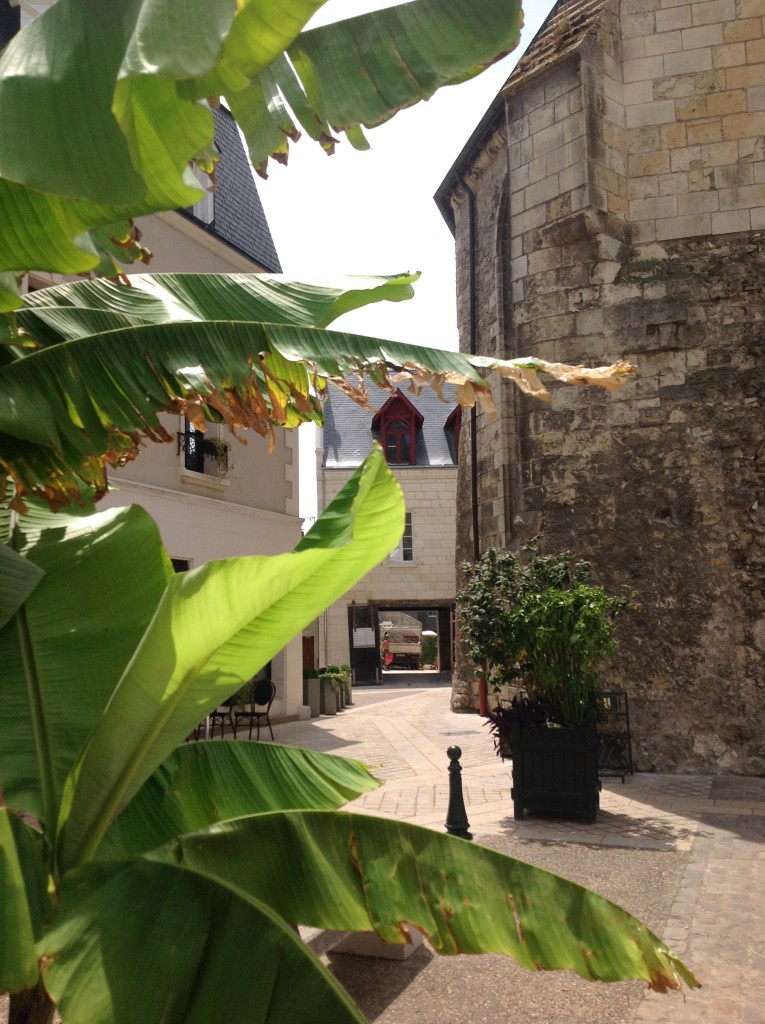 Foto de Loire, Francia