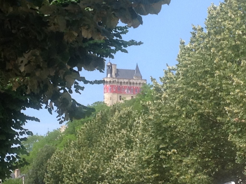 Foto de Loire, Francia