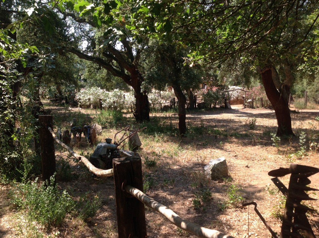 Foto de Cerdeña (Sardinia), Italia