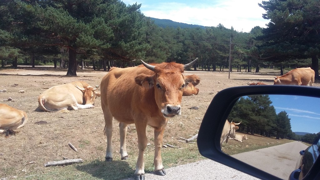 Foto de Laguna Negra (Soria), España