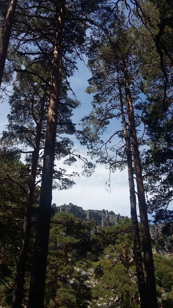 Foto de Laguna Negra (Soria), España