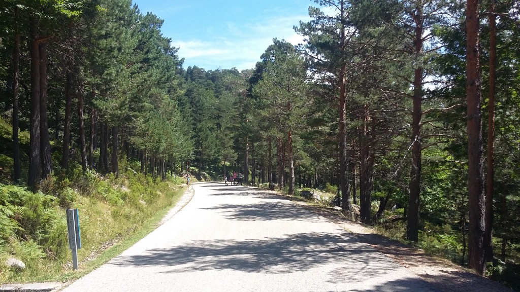 Foto de Laguna Negra (Soria), España
