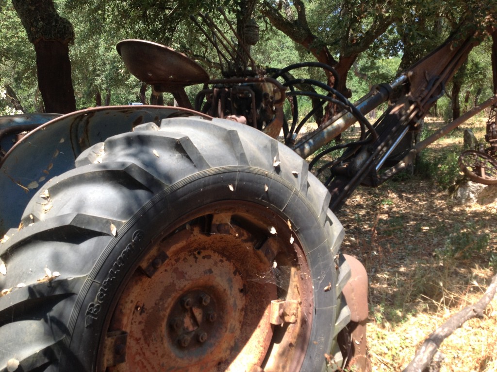 Foto de Cerdeña (Sardinia), Italia