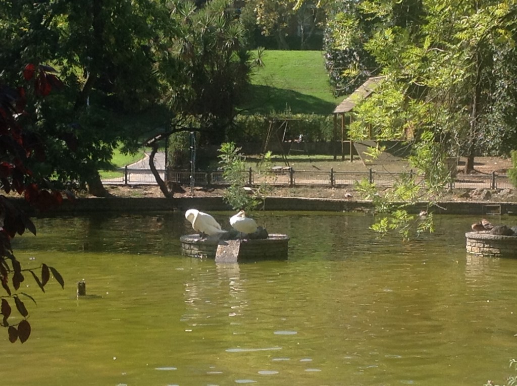 Foto de Bilbao (Vizcaya), España
