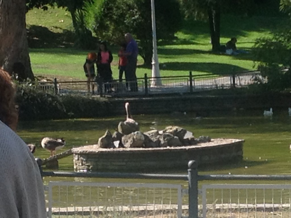 Foto de Bilbao (Vizcaya), España