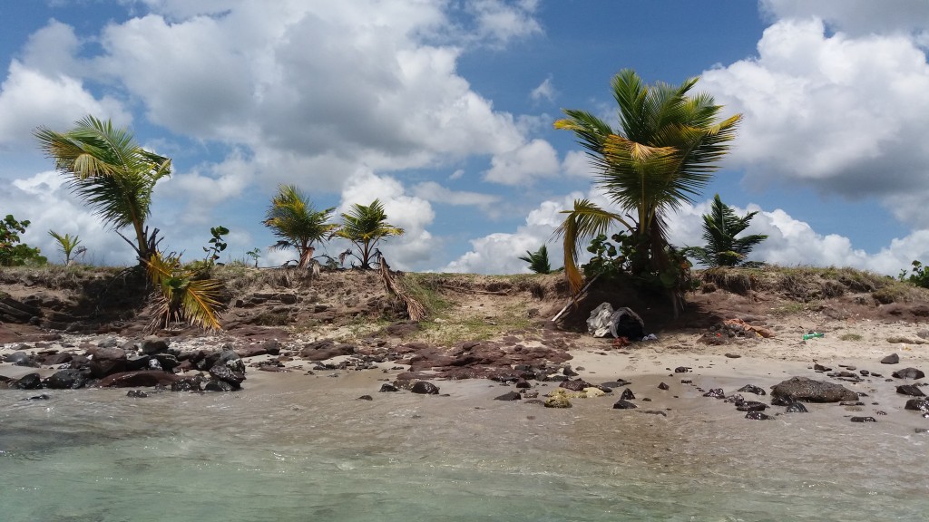 Foto de Pointe du Bout, Martinica