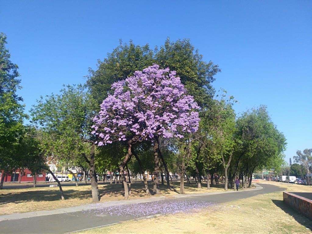 Foto de Df (The Federal District), México