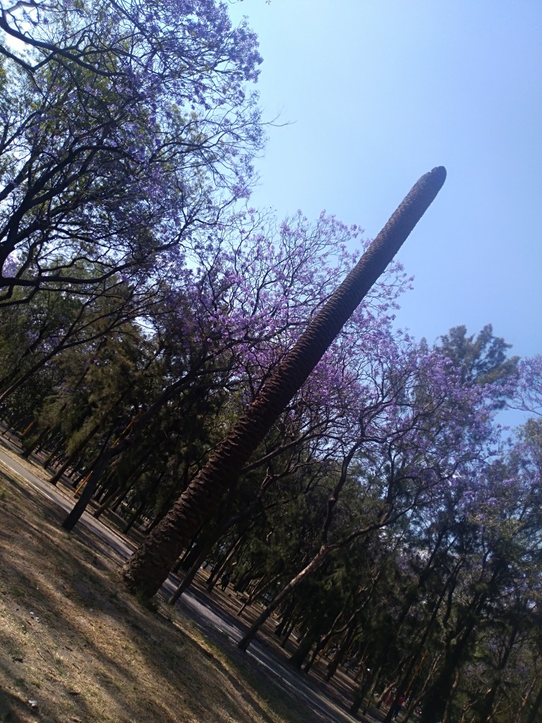 Foto de Df (The Federal District), México