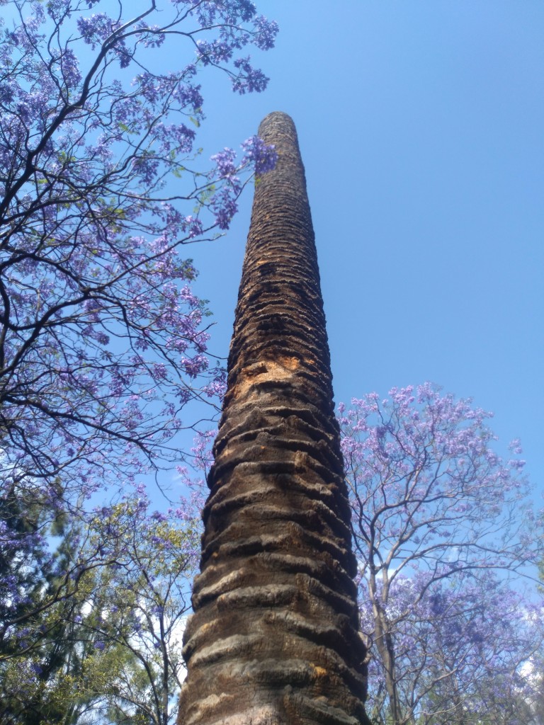 Foto de Df (The Federal District), México