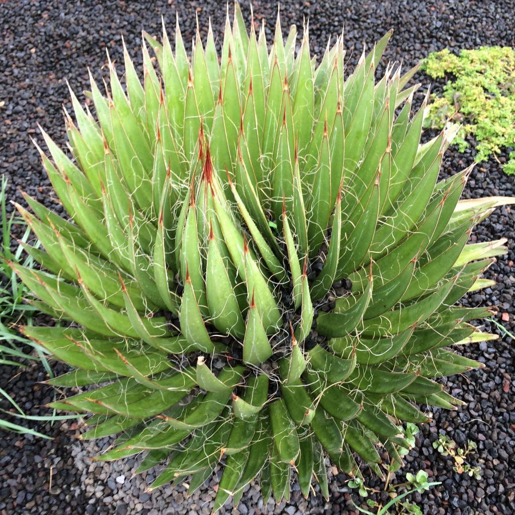 Foto: Museo de Antropología - Df (The Federal District), México