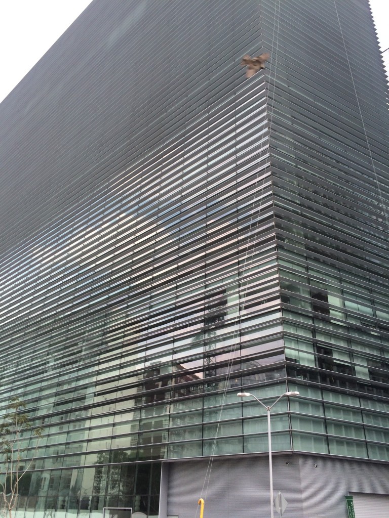 Foto de Df (The Federal District), México