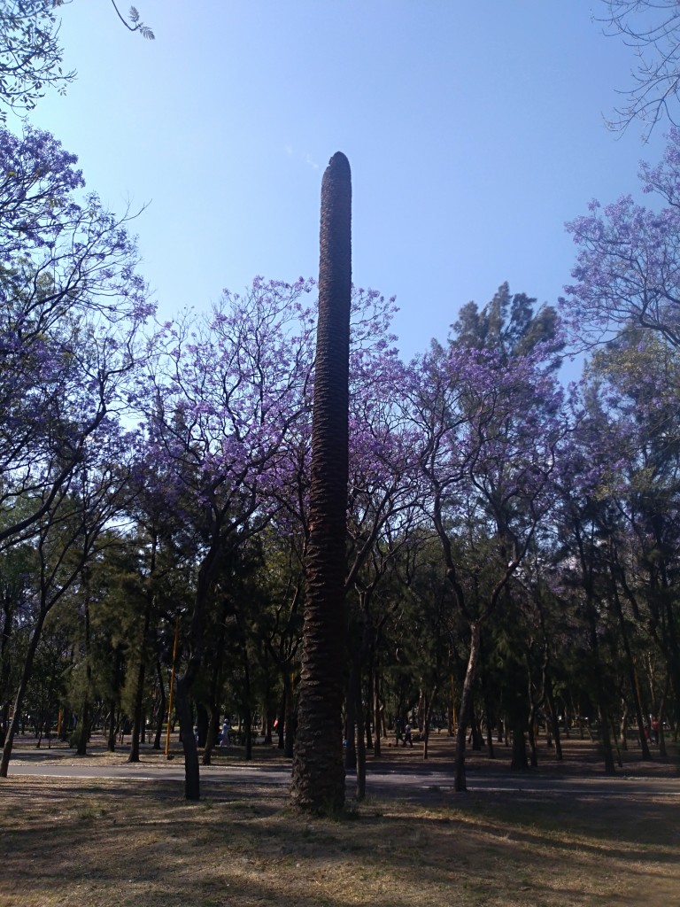 Foto de Df (The Federal District), México