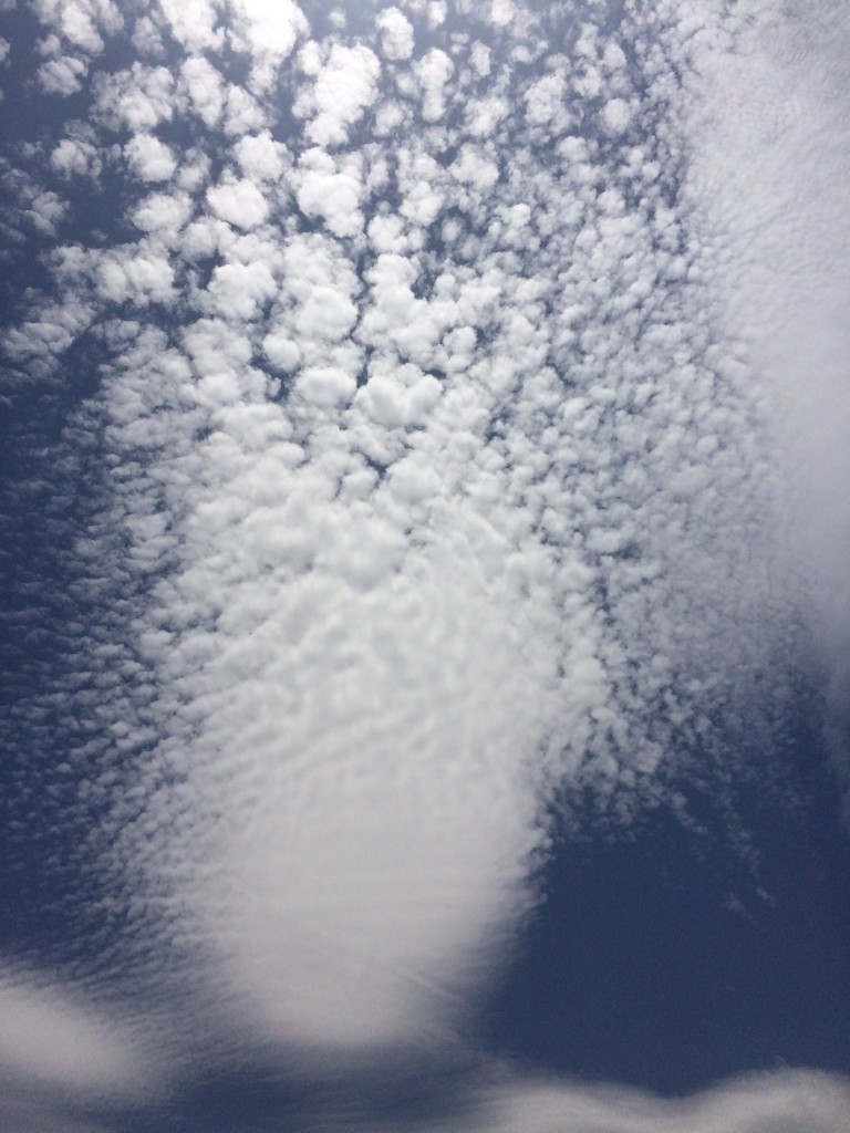 Foto de Df (The Federal District), México