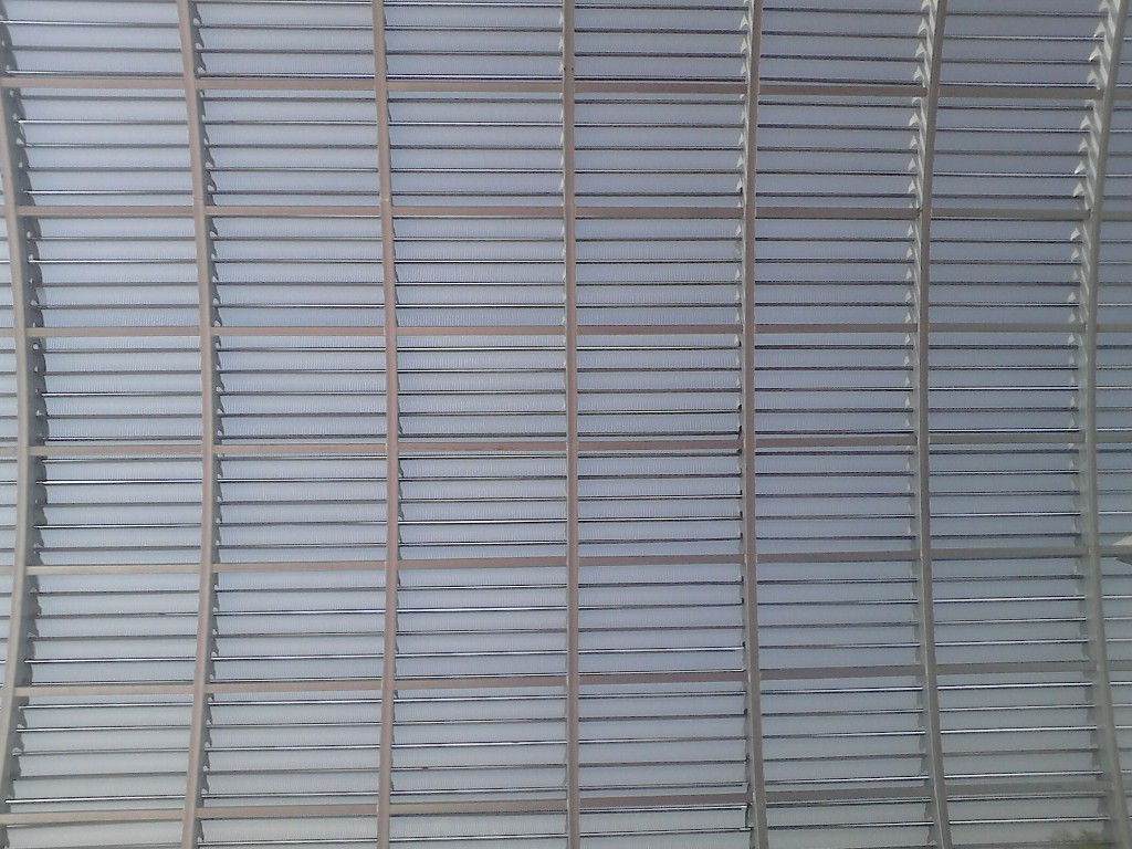 Foto de Df (The Federal District), México