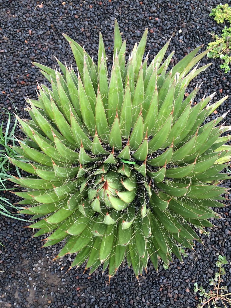 Foto de Df (The Federal District), México