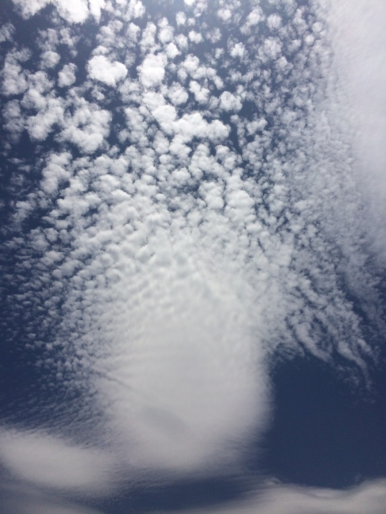 Foto de Df (The Federal District), México