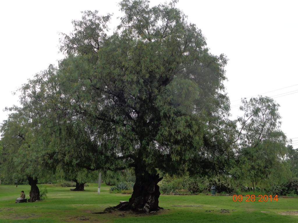 Foto de Df (The Federal District), México
