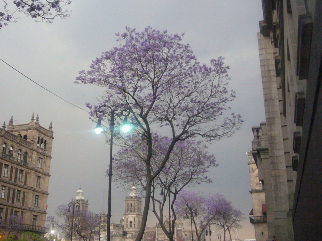 Foto de Df (The Federal District), México