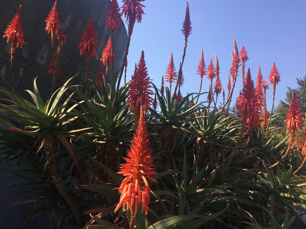 Foto de Df (The Federal District), México