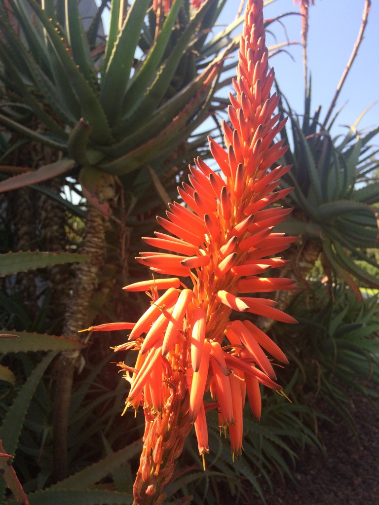 Foto de Df (The Federal District), México