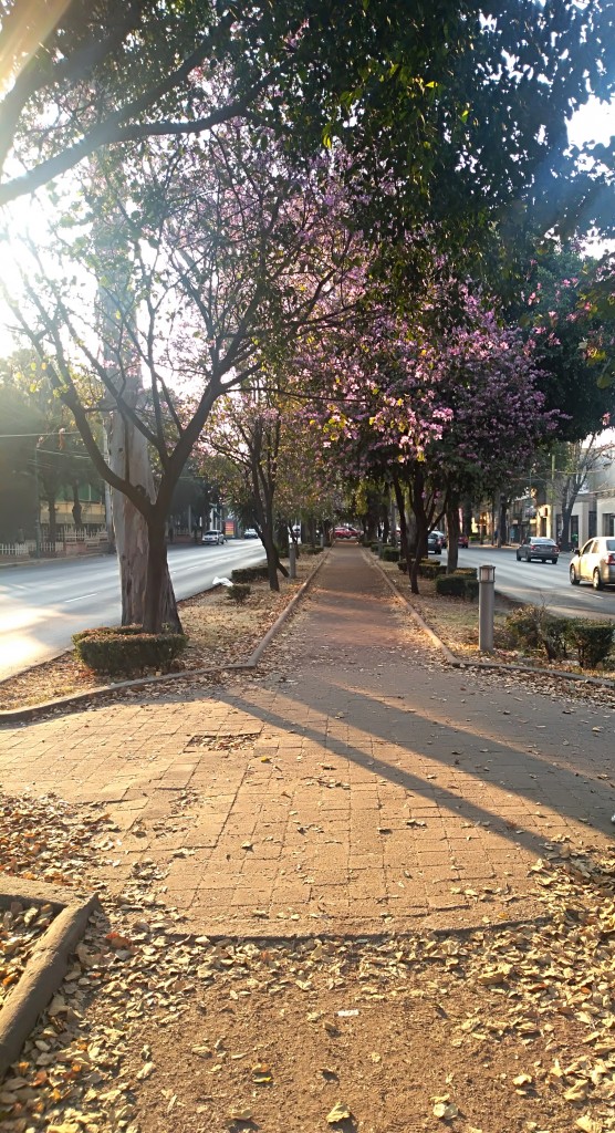 Foto de Df (The Federal District), México