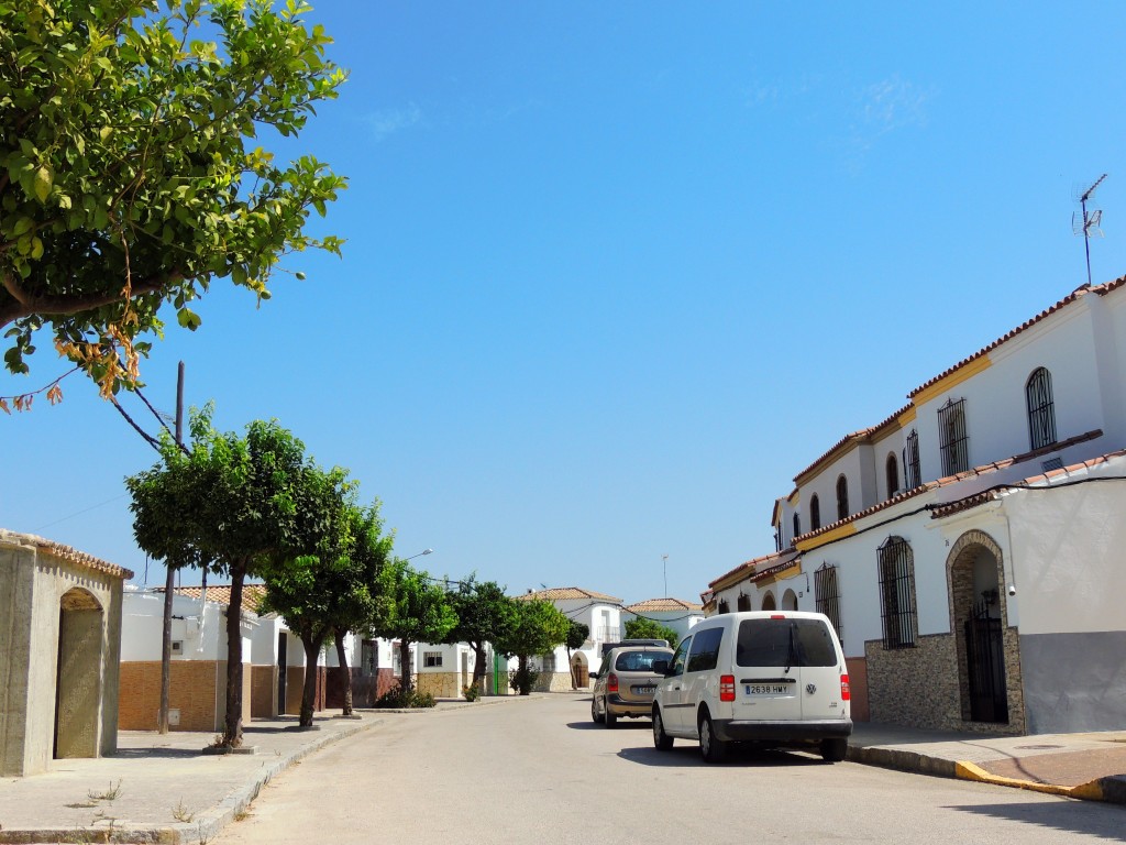 Foto de Coto de Bornos (Cádiz), España