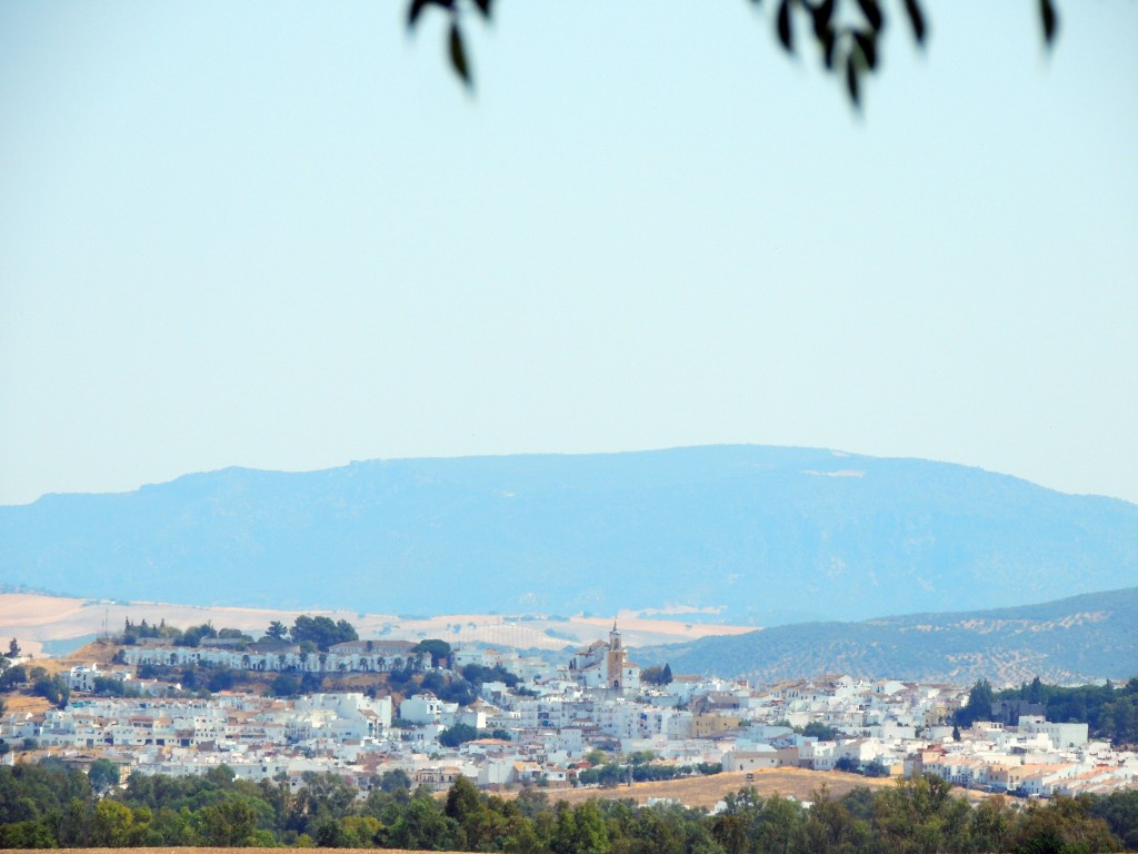 Foto de Coto de Bornos (Cádiz), España
