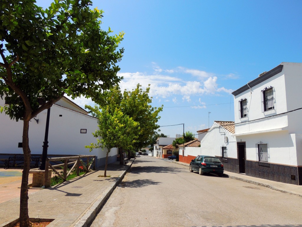 Foto de Coto de Bornos (Cádiz), España