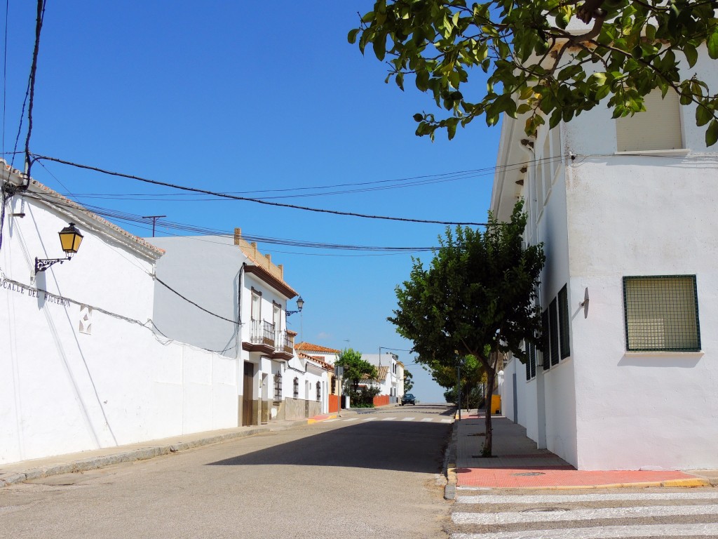 Foto de Coto de Bornos (Cádiz), España