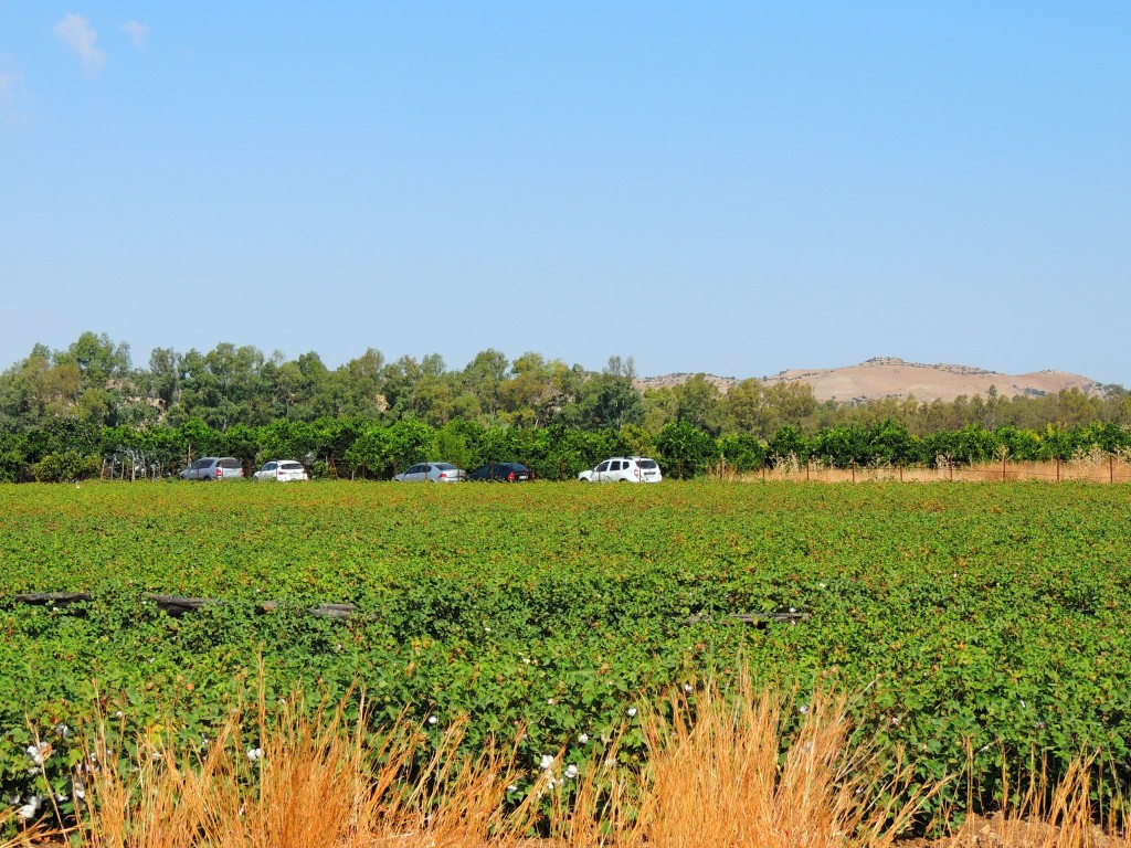 Foto de Coto de Bornos (Cádiz), España