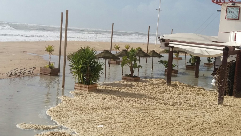 Foto de Cádiz (Andalucía), España