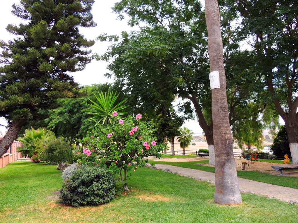 Foto de Espera (Cádiz), España
