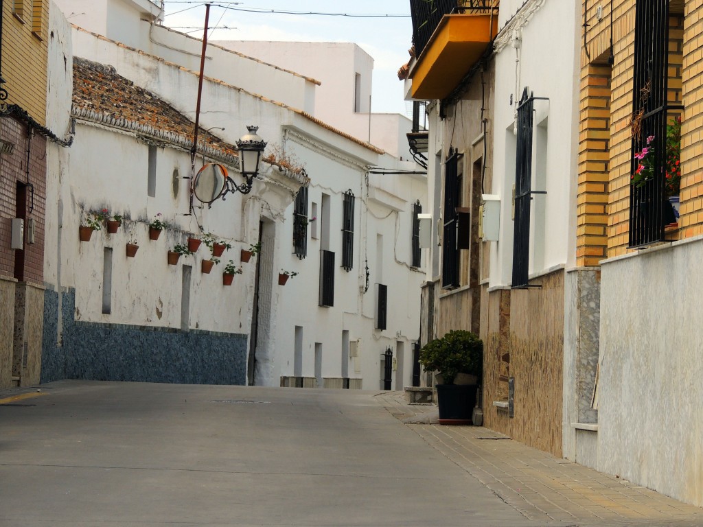 Foto de Espera (Cádiz), España