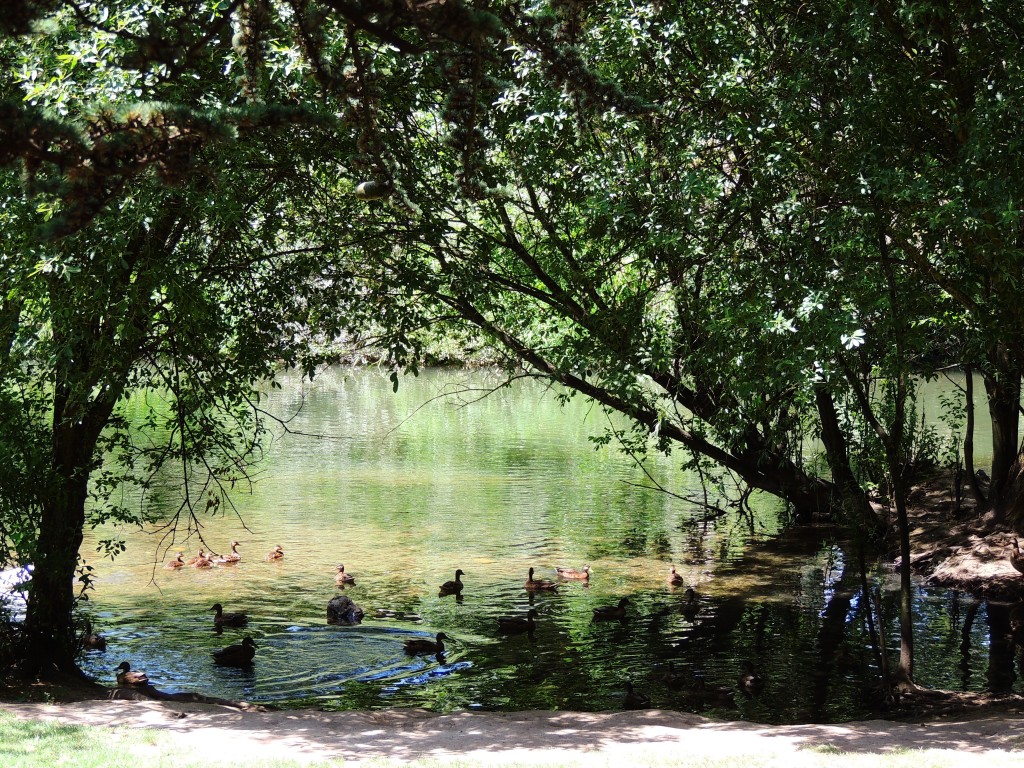 Foto de Burgos (Castilla y León), España