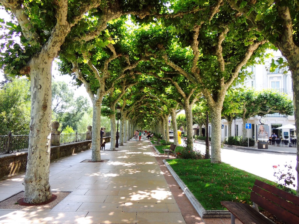 Foto de Burgos (Castilla y León), España