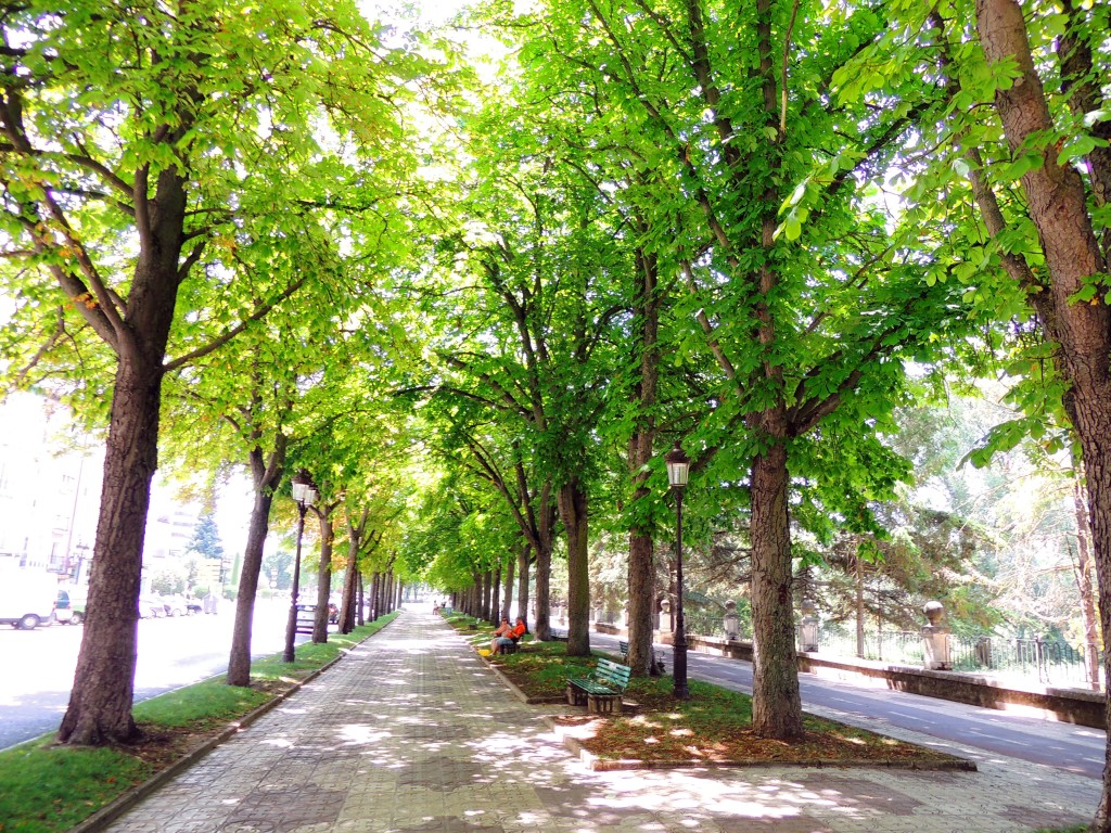 Foto de Burgos (Castilla y León), España
