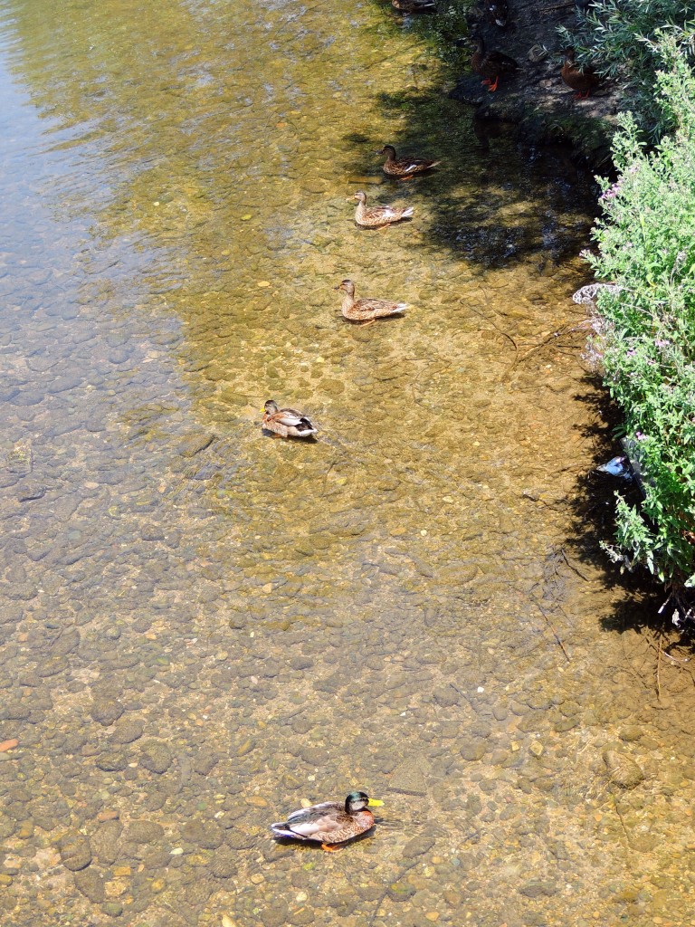 Foto de Burgos (Castilla y León), España
