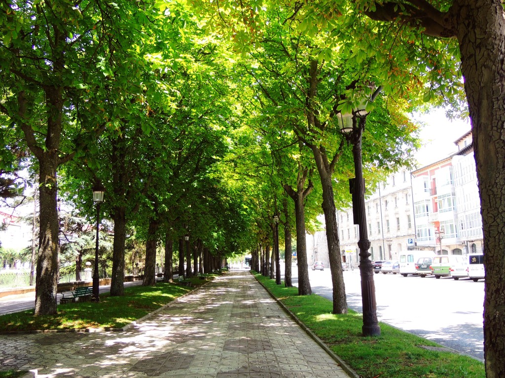 Foto de Burgos (Castilla y León), España