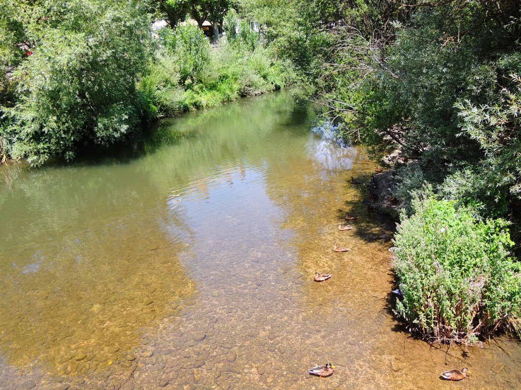 Foto de Burgos (Castilla y León), España