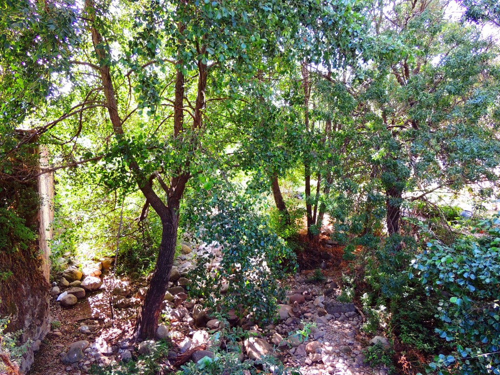 Foto de Hevás (Cáceres), España